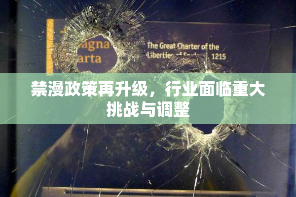 禁漫政策再升级，行业面临重大挑战与调整