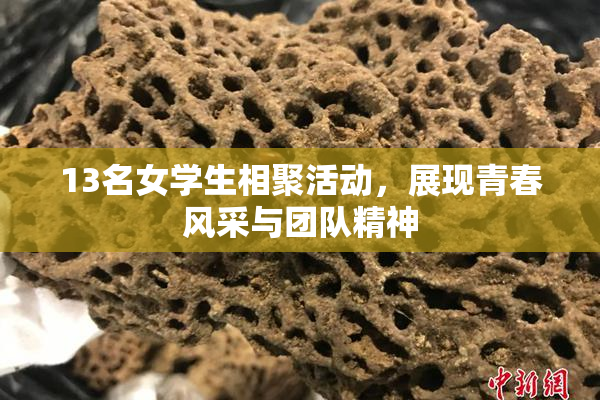 13名女学生相聚活动，展现青春风采与团队精神