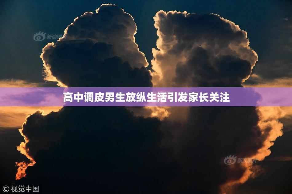 高中调皮男生放纵生活引发家长关注