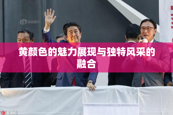 黄颜色的魅力展现与独特风采的融合