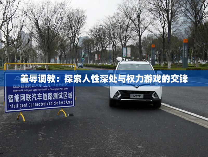 羞辱调教：探索人性深处与权力游戏的交锋