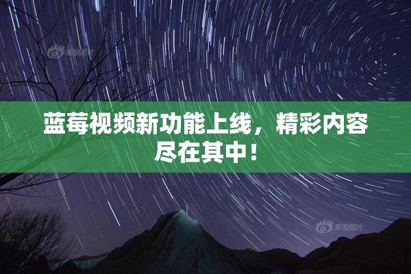蓝莓视频新功能上线，精彩内容尽在其中！