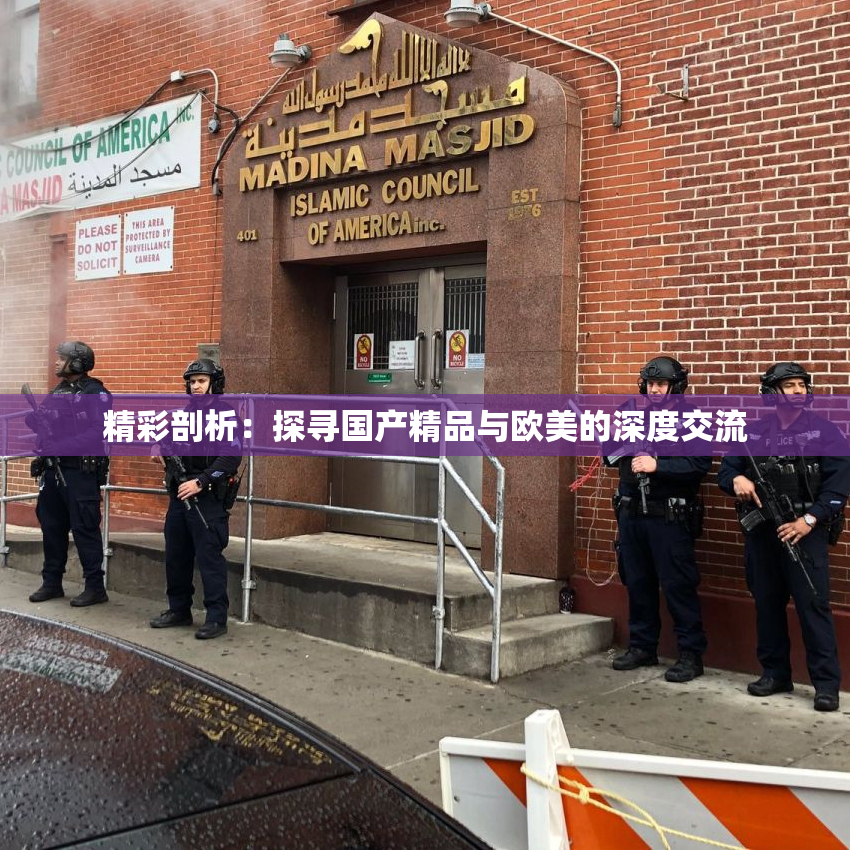 精彩剖析：探寻国产精品与欧美的深度交流