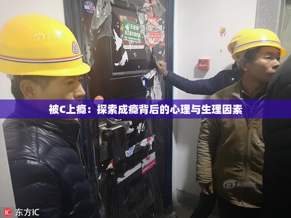 被C上瘾：探索成瘾背后的心理与生理因素