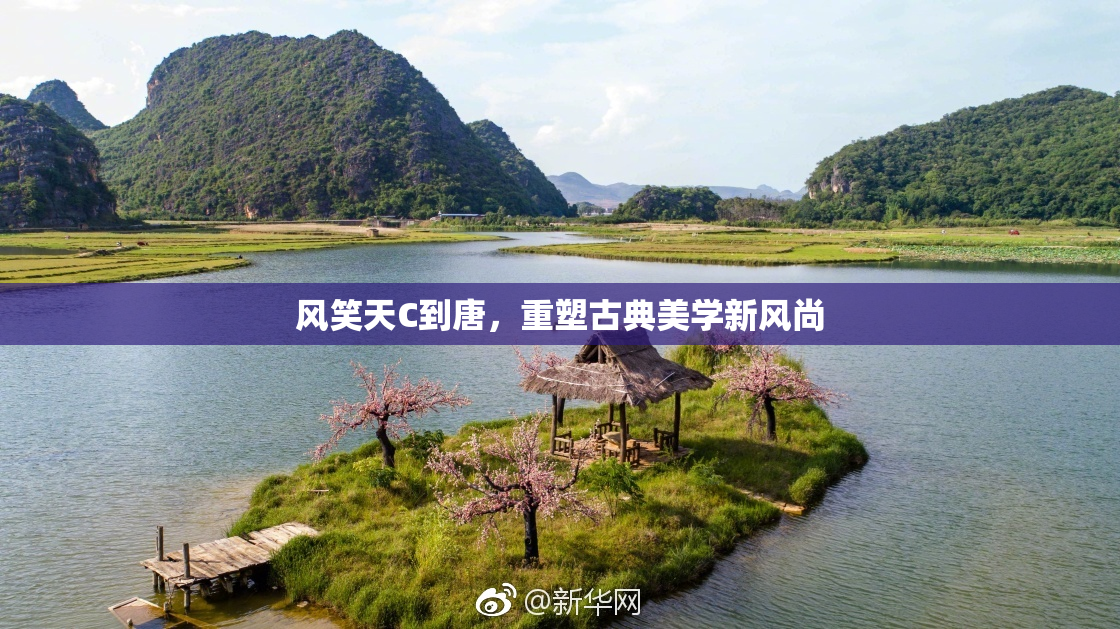 风笑天C到唐，重塑古典美学新风尚