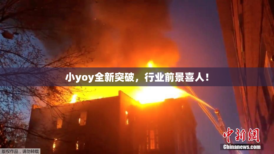 小yoy全新突破，行业前景喜人！