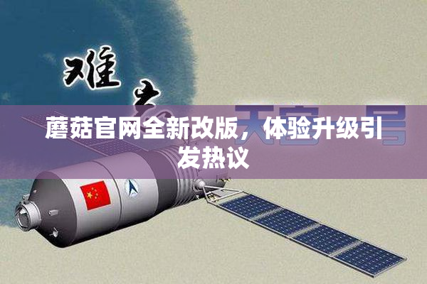 蘑菇官网全新改版，体验升级引发热议