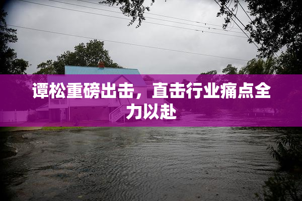 谭松重磅出击，直击行业痛点全力以赴