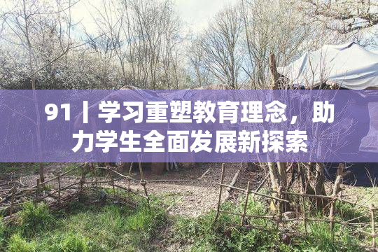91丨学习重塑教育理念，助力学生全面发展新探索