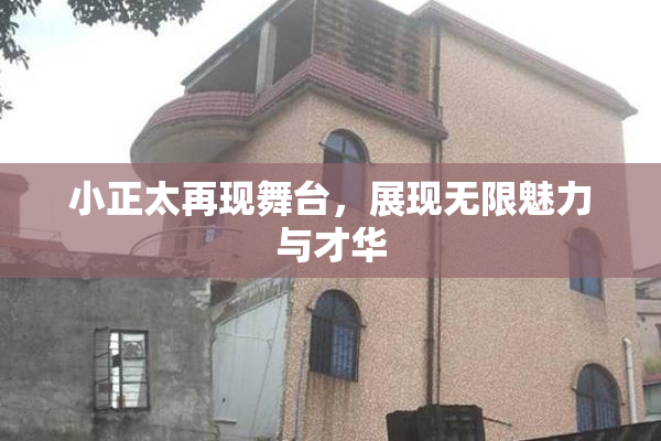 小正太再现舞台，展现无限魅力与才华
