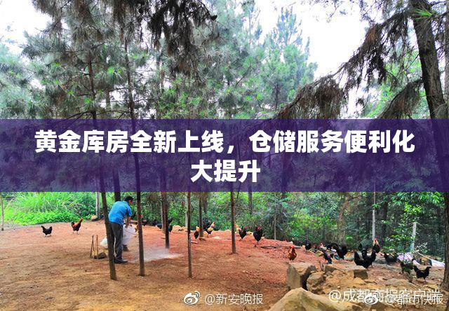 黄金库房全新上线，仓储服务便利化大提升