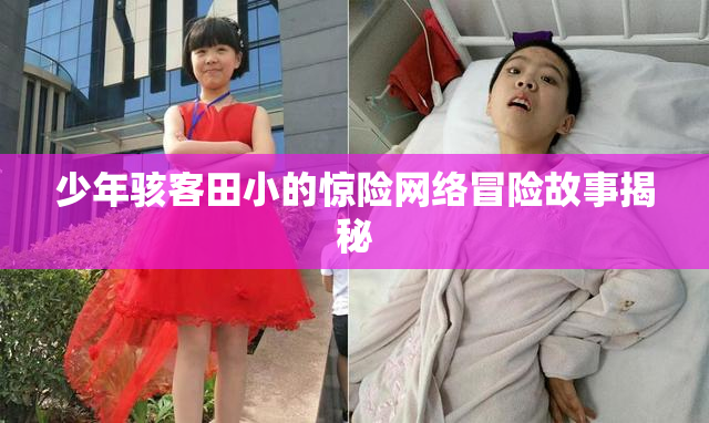 少年骇客田小的惊险网络冒险故事揭秘