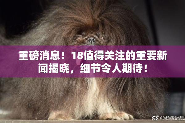 重磅消息！18值得关注的重要新闻揭晓，细节令人期待！