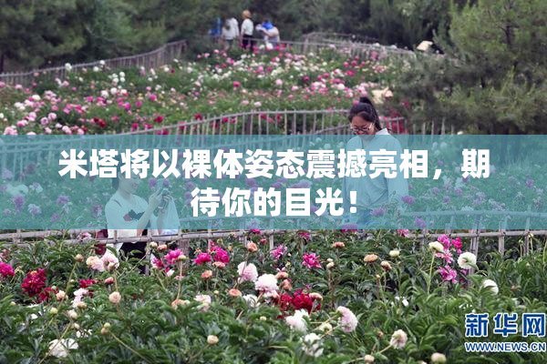米塔将以裸体姿态震撼亮相，期待你的目光！