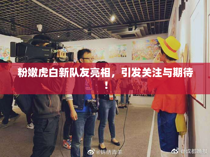 粉嫩虎白新队友亮相，引发关注与期待！