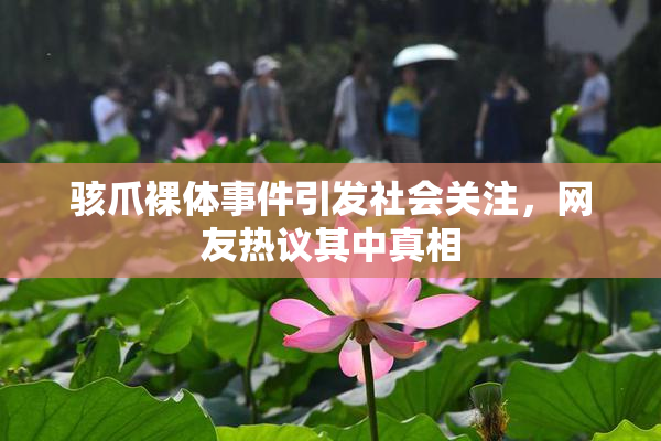 骇爪裸体事件引发社会关注，网友热议其中真相