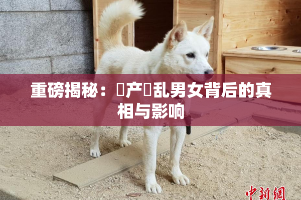 重磅揭秘：囯产婬乱男女背后的真相与影响
