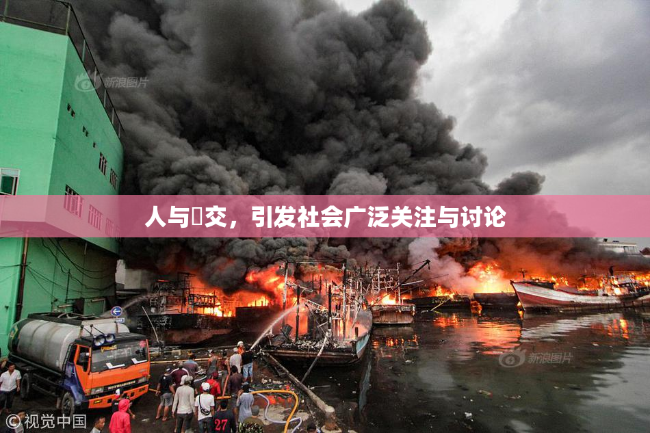 人与嘼交，引发社会广泛关注与讨论