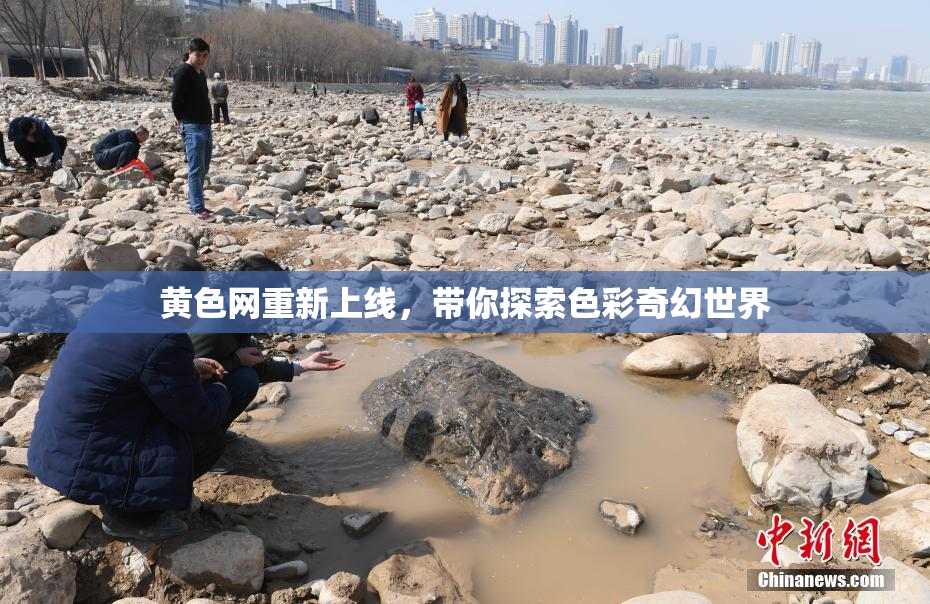 黄色网重新上线，带你探索色彩奇幻世界