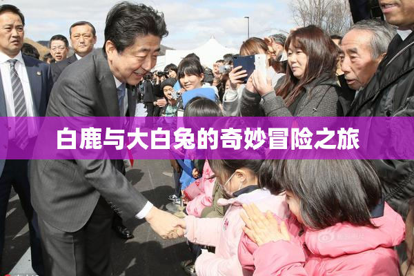 白鹿与大白兔的奇妙冒险之旅