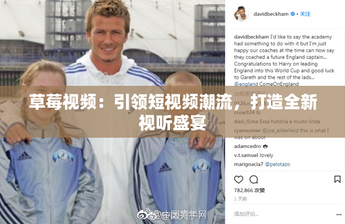 草莓视频：引领短视频潮流，打造全新视听盛宴