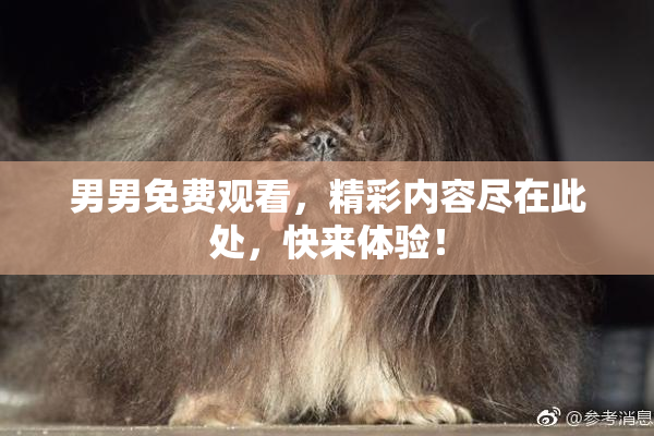 男男免费观看，精彩内容尽在此处，快来体验！