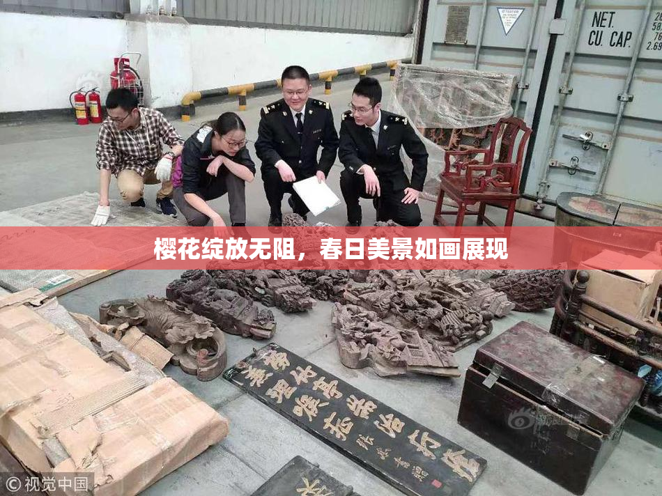 樱花绽放无阻，春日美景如画展现