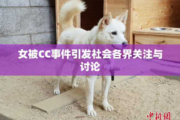 女被CC事件引发社会各界关注与讨论