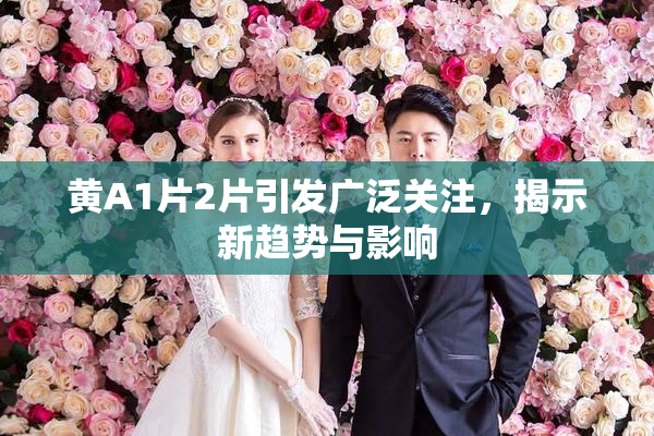 黄A1片2片引发广泛关注，揭示新趋势与影响