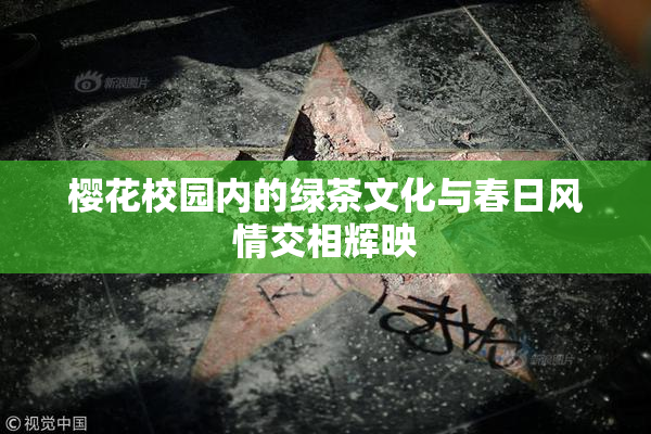 樱花校园内的绿茶文化与春日风情交相辉映