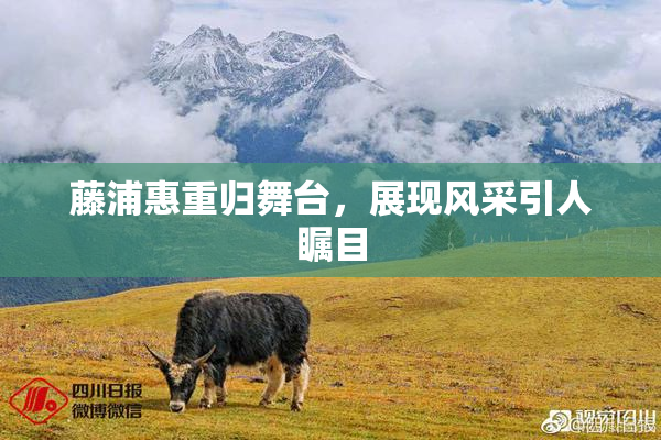 藤浦惠重归舞台，展现风采引人瞩目