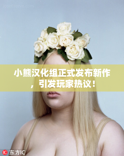 小熊汉化组正式发布新作，引发玩家热议！