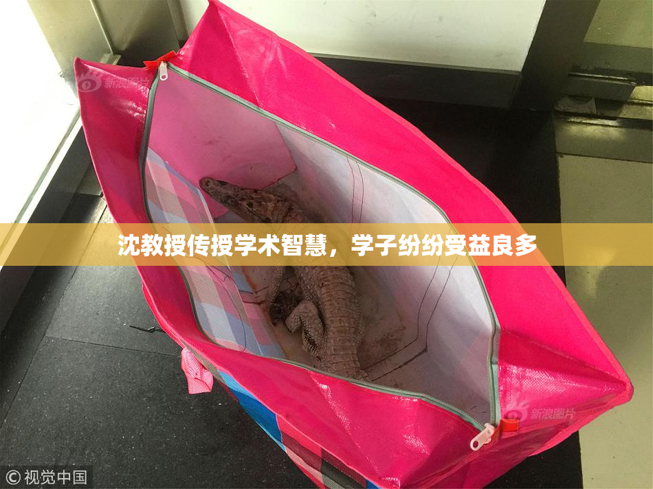 沈教授传授学术智慧，学子纷纷受益良多
