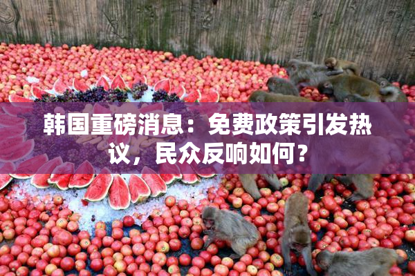 韩国重磅消息：免费政策引发热议，民众反响如何？