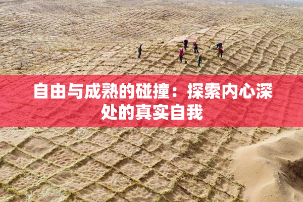自由与成熟的碰撞：探索内心深处的真实自我