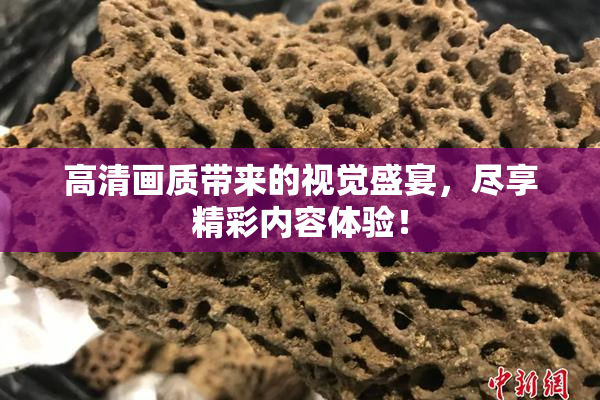 高清画质带来的视觉盛宴，尽享精彩内容体验！