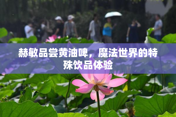 赫敏品尝黄油啤，魔法世界的特殊饮品体验