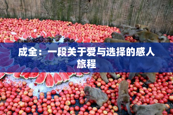 成全：一段关于爱与选择的感人旅程