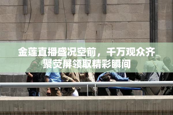 金莲直播盛况空前，千万观众齐聚荧屏领取精彩瞬间