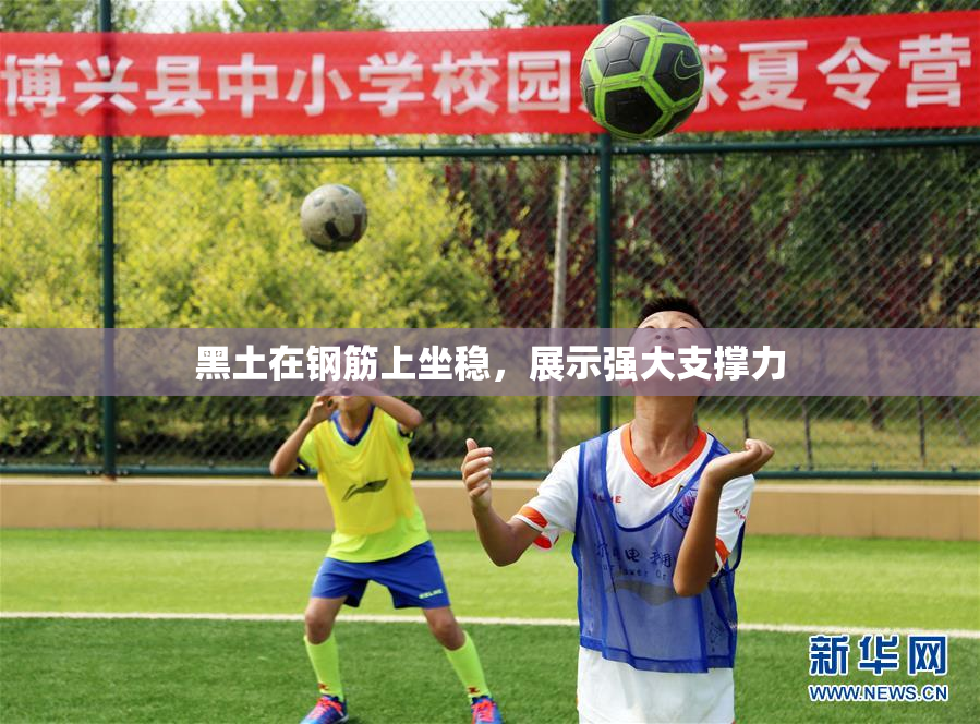 黑土在钢筋上坐稳，展示强大支撑力