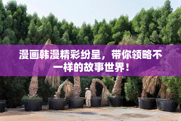 漫画韩漫精彩纷呈，带你领略不一样的故事世界！