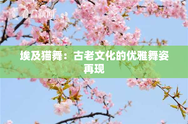 埃及猫舞：古老文化的优雅舞姿再现