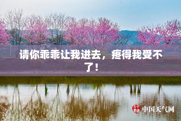 请你乖乖让我进去，疼得我受不了！