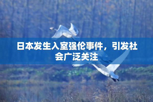 日本发生入室强伦事件，引发社会广泛关注