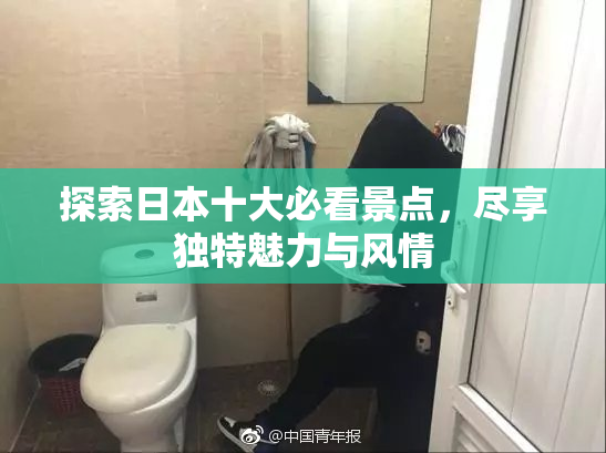 探索日本十大必看景点，尽享独特魅力与风情
