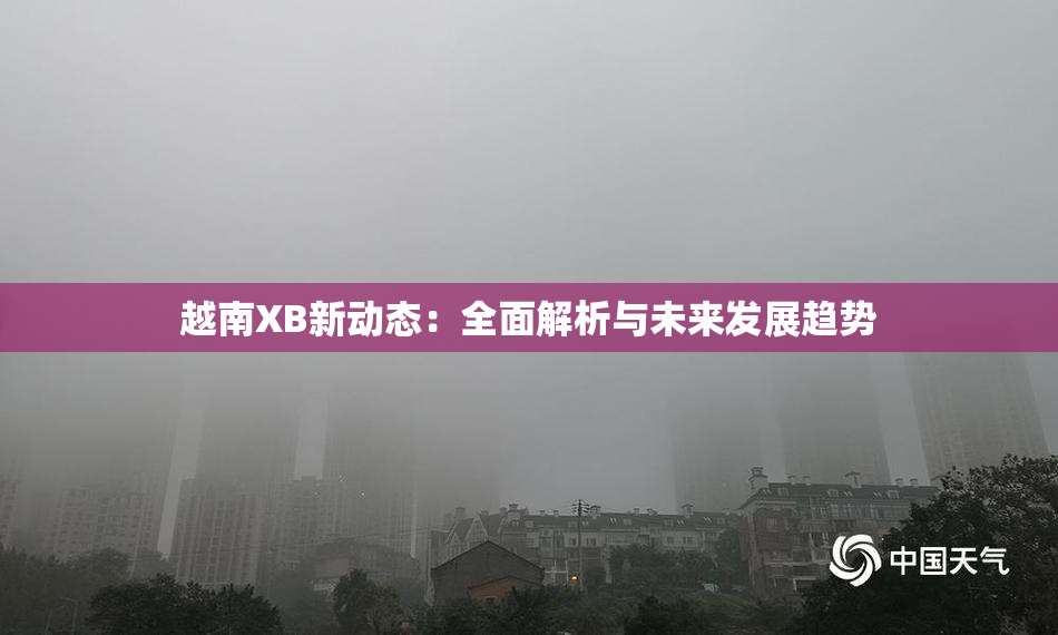 越南XB新动态：全面解析与未来发展趋势