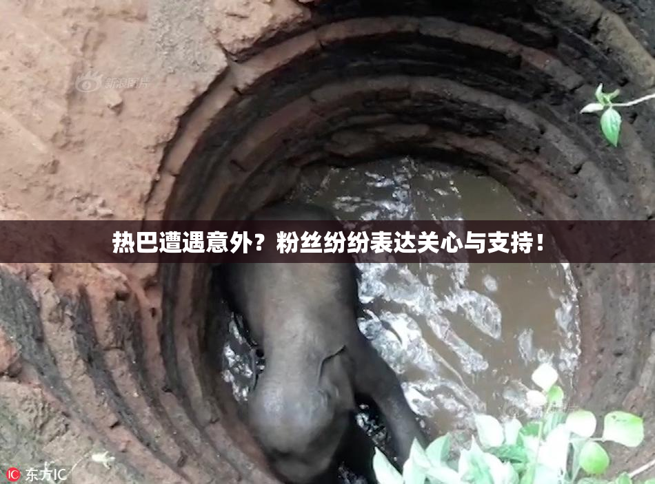 热巴遭遇意外？粉丝纷纷表达关心与支持！