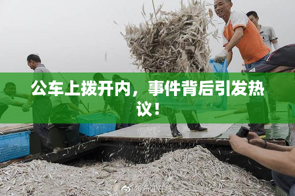 公车上拨开内，事件背后引发热议！