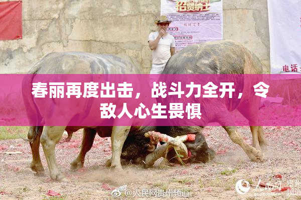 春丽再度出击，战斗力全开，令敌人心生畏惧