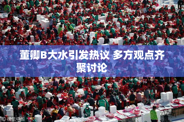 董卿B大水引发热议 多方观点齐聚讨论